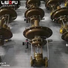 不同应用场景下的自力式压力蜜桃视频免费观看解决方案